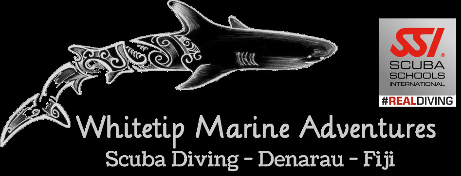 Whitetip Marine Adventures - Scuba Diving Denarau Fiji